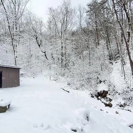 Lazy Bear Cabin Sevierville Exterior photo