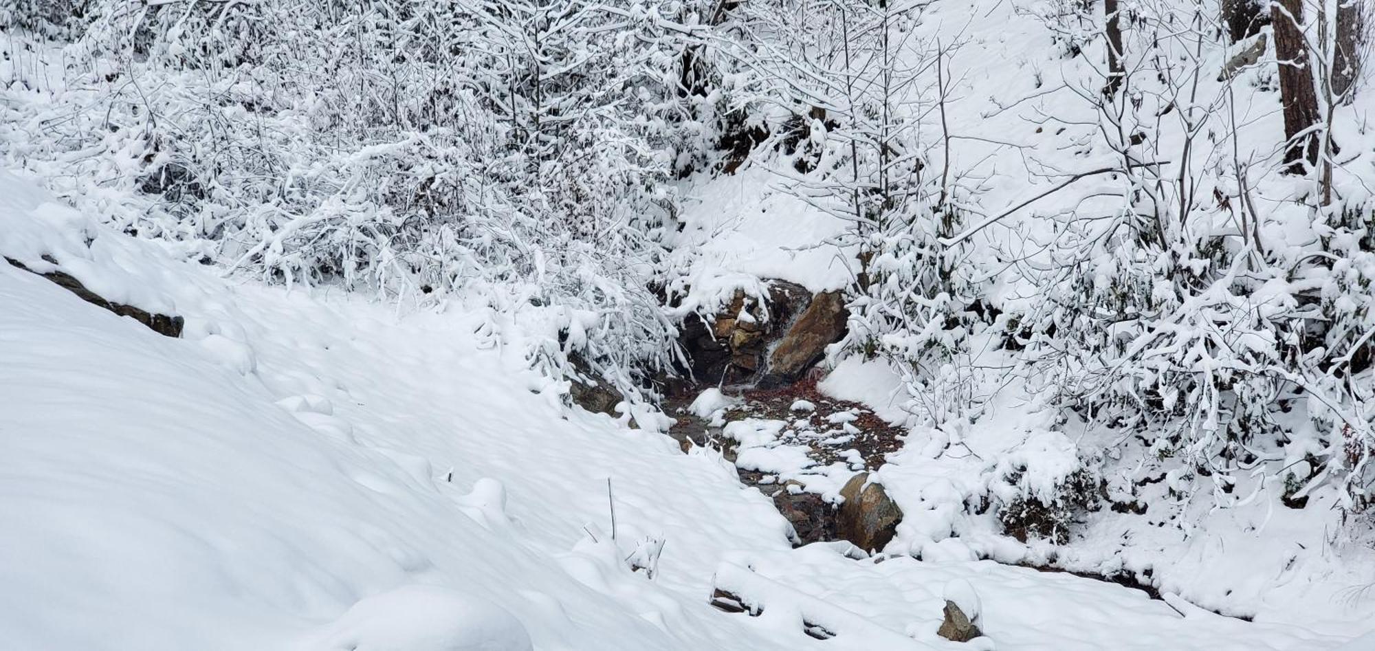 Lazy Bear Sevierville