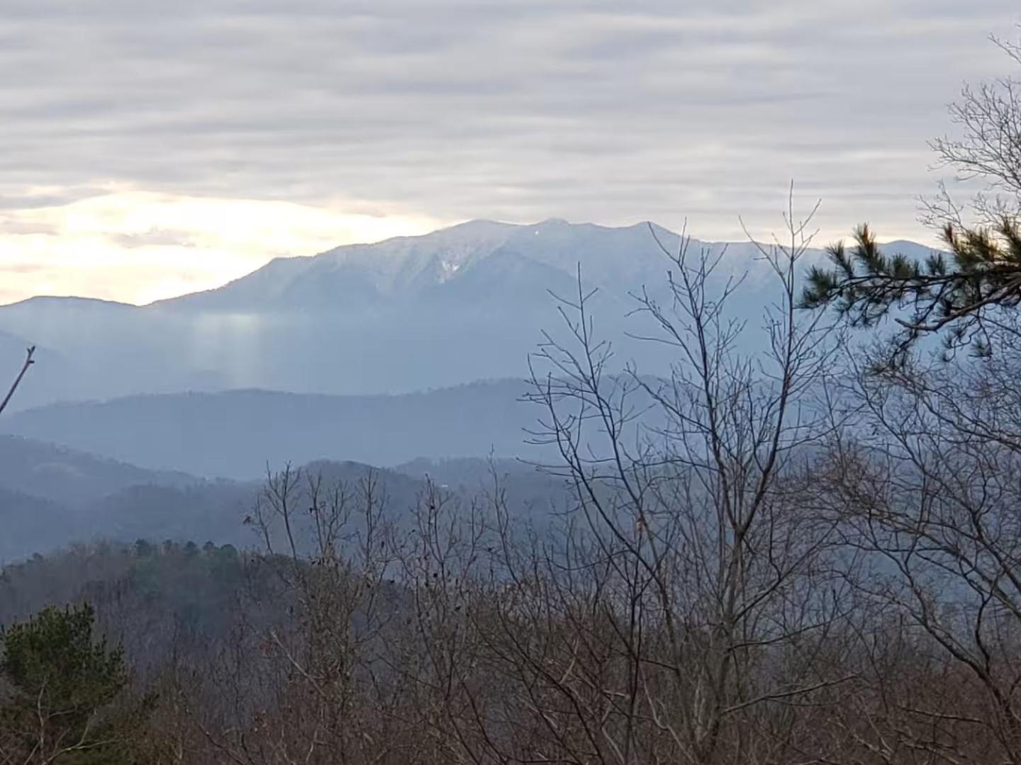 Lazy Bear Sevierville